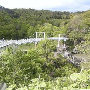 旭川女子高生殺害事件の19歳実名が判明！学歴や顔画像、事件の全容は？